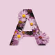 Flower AZ