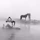 horses&people