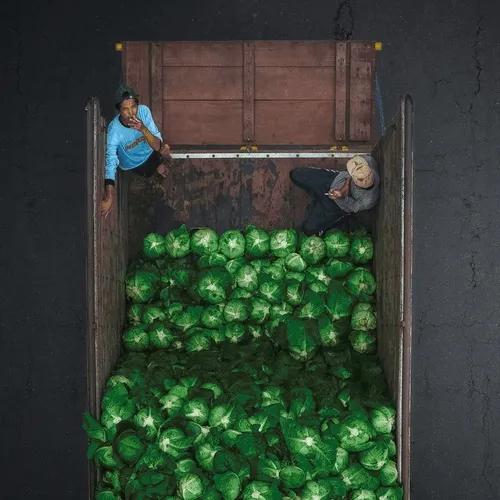 Jord Hammond x Airdrops