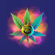 POTHEADS TEAM
