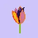 Pixel Tulip