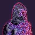 Kong'zz - old