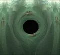 Just Black Holes