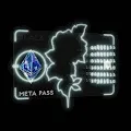 ORGVSM  Meta-Pass