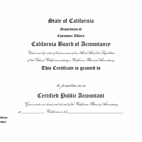 Original Certified Public Accountant (CPA) License NFT Collection