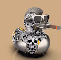 Cool Duck Community