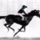 Muybridge Rides Again