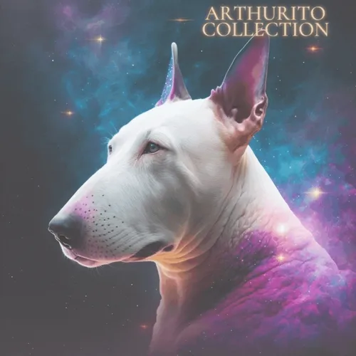 Arthurito Start Project