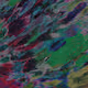 The Genesis Project: "tiles"