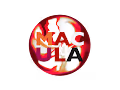 MACULA
