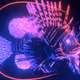 Fesq x Something’s Fishy