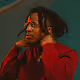 Allan Kingdom