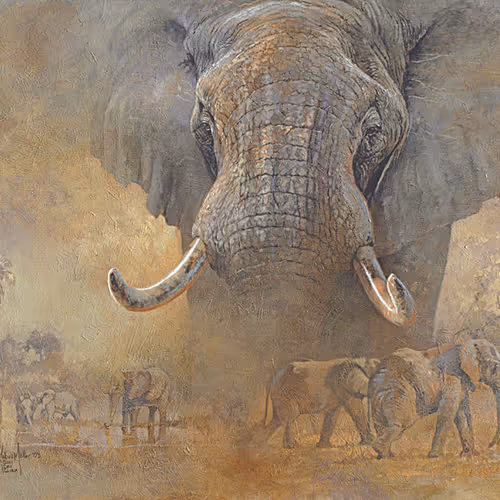 Kobus Moller Art