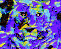 YEAR OF THE TIGER by BERMANO