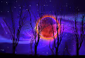 Artist Imagination