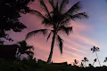 Nature Calls - Hawai'i Edition