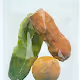 CPPU-Hyper Super Fruit&Veg Machine