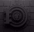 THE VIRAL VAULT
