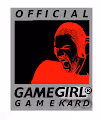 Game Girl Artefacts
