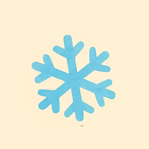 Project Snowflake