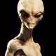 Galactic Federation Collection - old