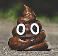 Crypto Poops
