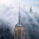 New York City's Finest