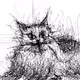 Calm Down Kitty