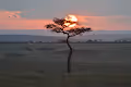 Masai Mara - Rainy Season
