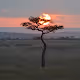 Masai Mara - Rainy Season
