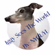 Iggy Sees The World