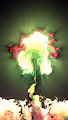Bloom Fire