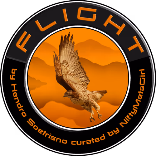 Flight Editions by Hendro Soetrisno curated by NiftyMetaGirl