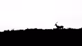 Minimalism & Monochrome - old
