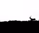Minimalism & Monochrome - old