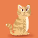 Stranger Cat