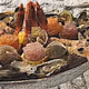 ARTISTIC SEA FOOD