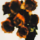 [WITHOUTYOU]