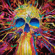 Explosion of Color by Shree