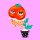 Tomato Factory