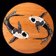 Koi Tondo