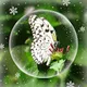 Butterfly Crystal Ball