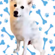 AwesomeDave Dog