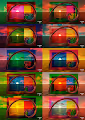 Sunset Fibonacci Collection