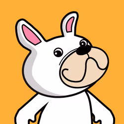 项目媒体占位符