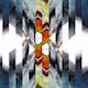 xanthippe-ds