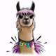 alpacas with bling