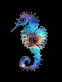 XTSea