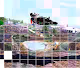 MonsterCross