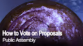 How to Vote on Proposals